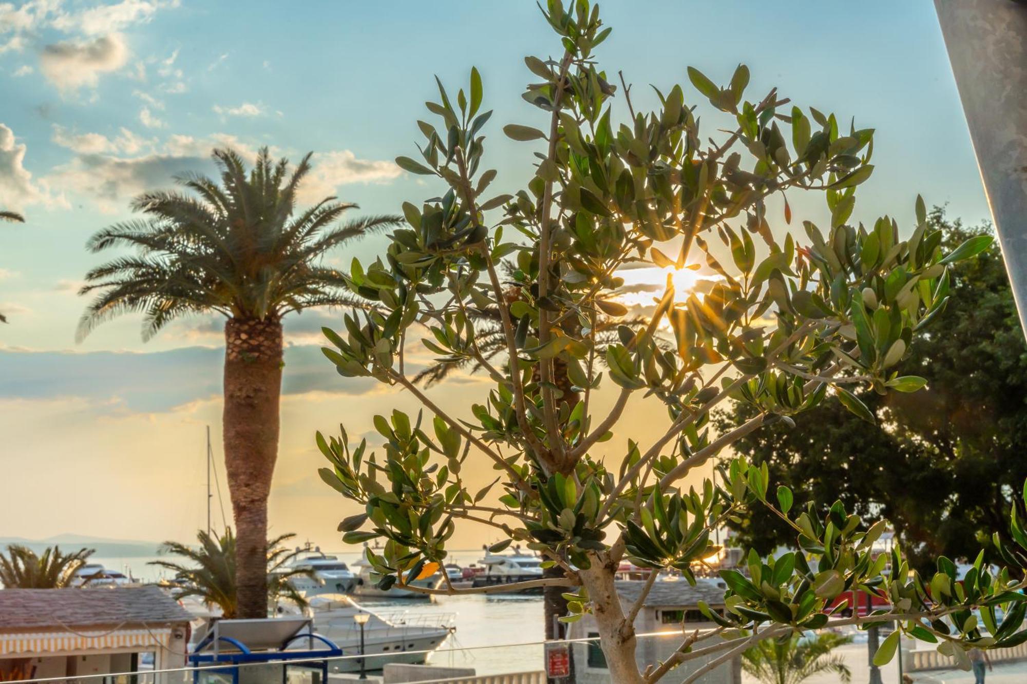 Grand Hotel Slavia - Adults Only บาชกาโวดา ภายนอก รูปภาพ